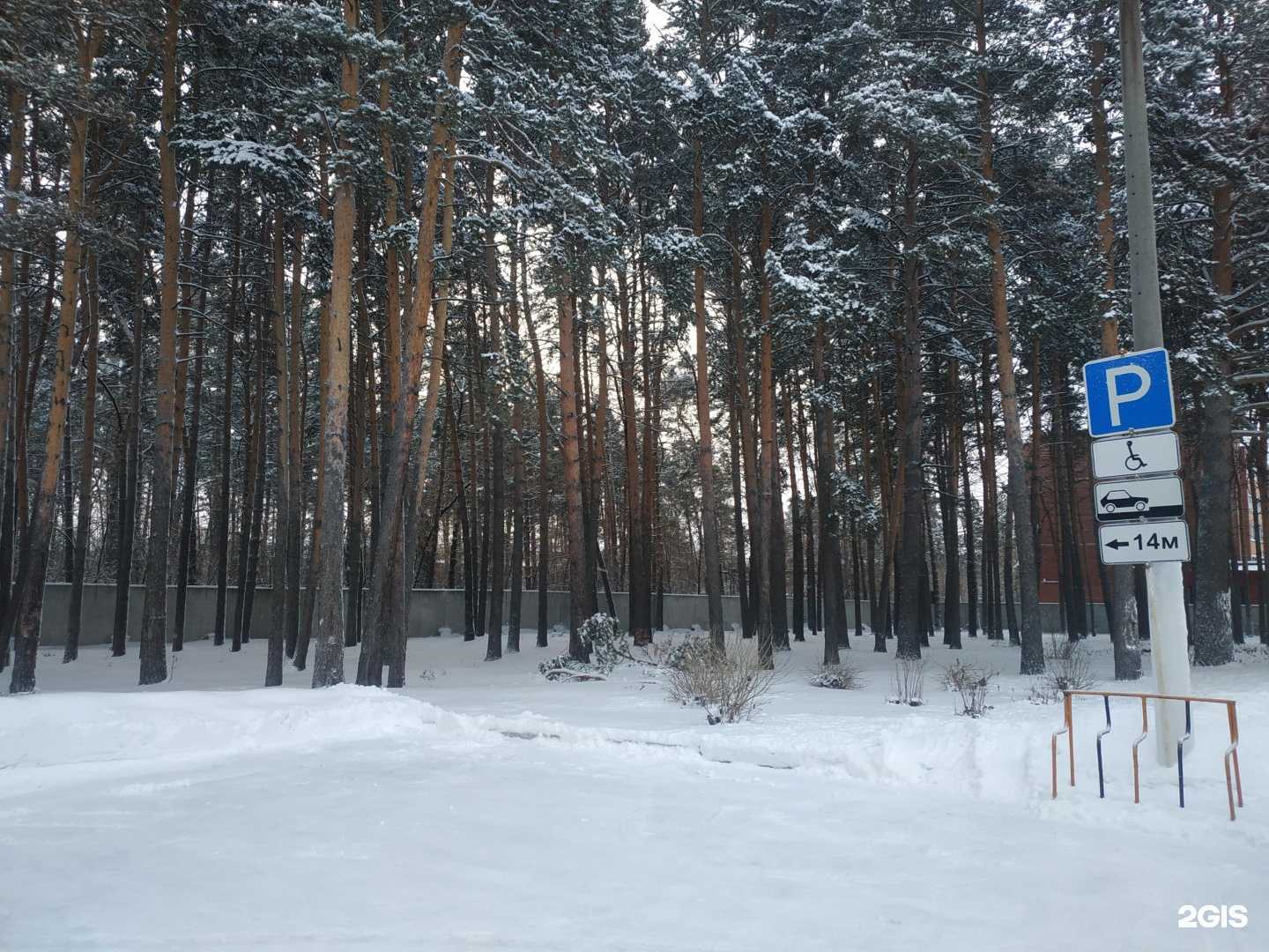 Отзывы на компанию РЖД-Медицина в Новосибирске c фото