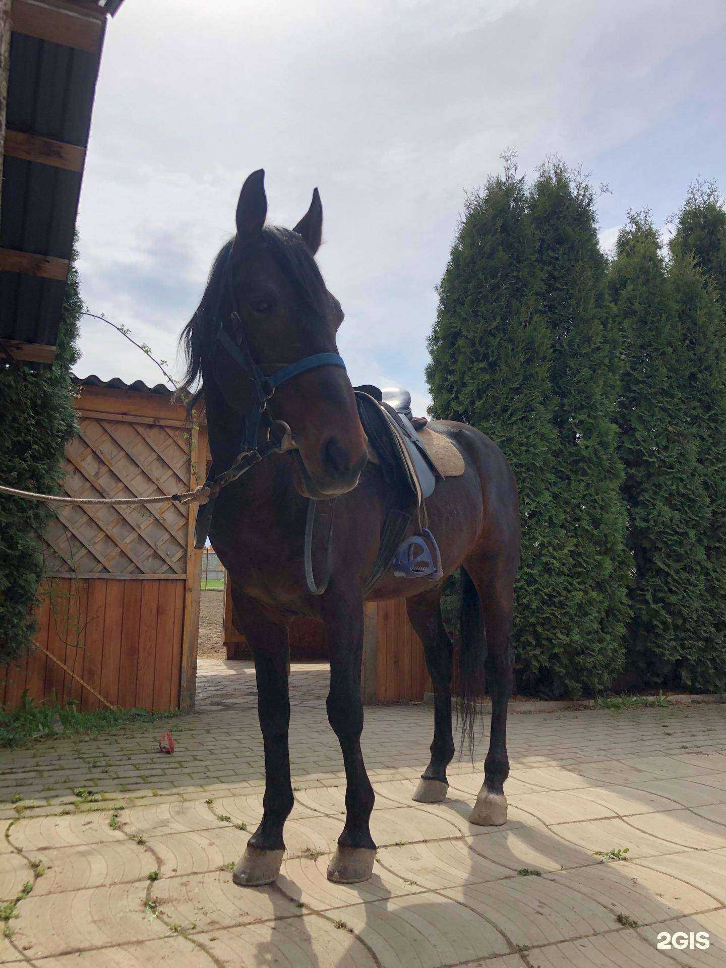 Отзывы на компанию  Джигит в Грозном c фото - фотография 2 из 2