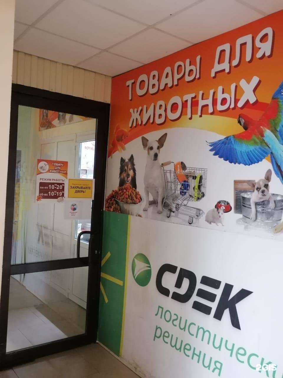 Отзывы на компанию Магазин товаров для животных в г. Курск c фото