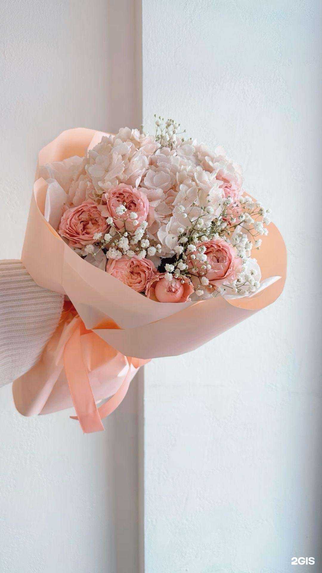 Отзывы на компанию Gardenia в г. Махачкала c фото