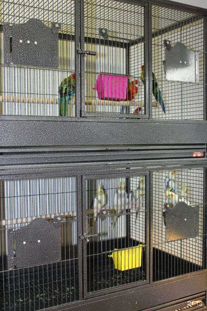 Отзывы на компанию Зооландия в Мурманске c фото