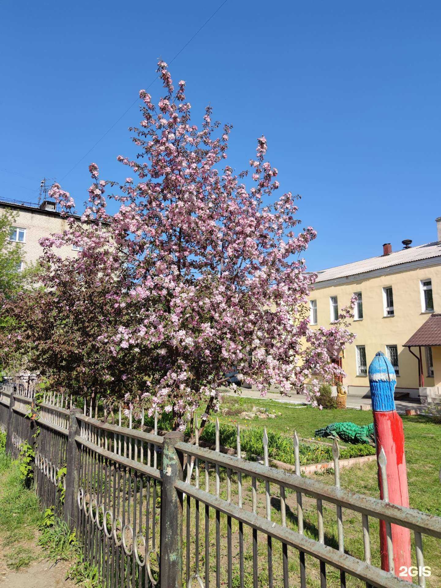 Отзывы на компанию Гуляевская гимназия в г. Барнаул c фото