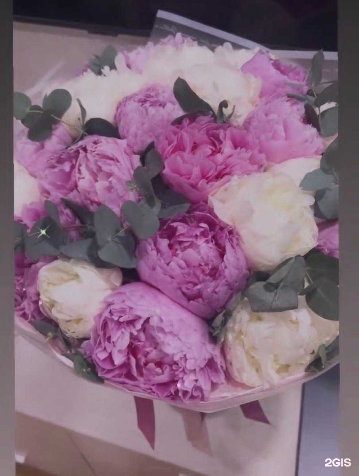 Отзывы на компанию Флорис в Барнауле c фото - фотография 2 из 2