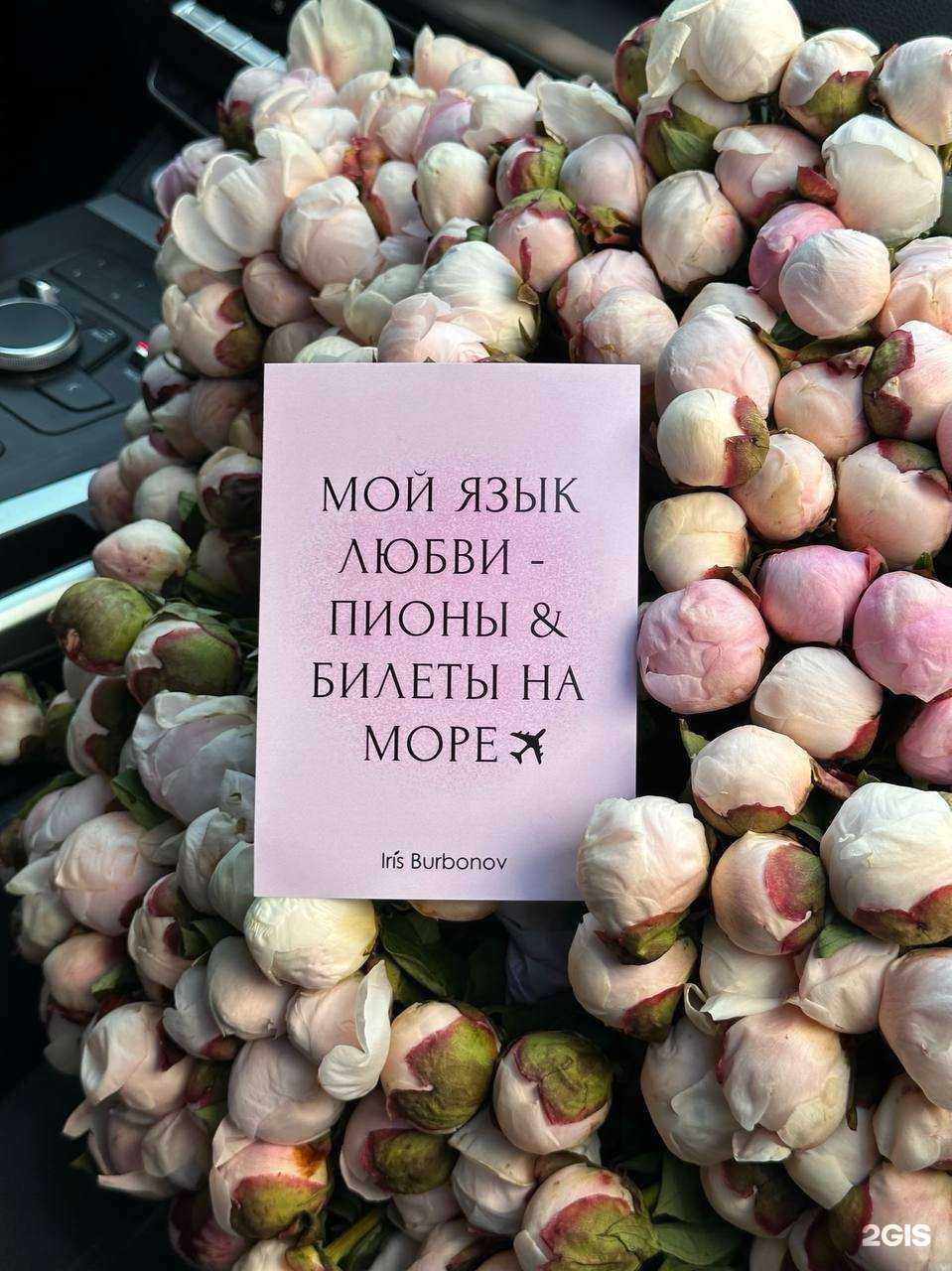 Отзывы на компанию Ирис Бурбонов в Екатеринбурге c фото