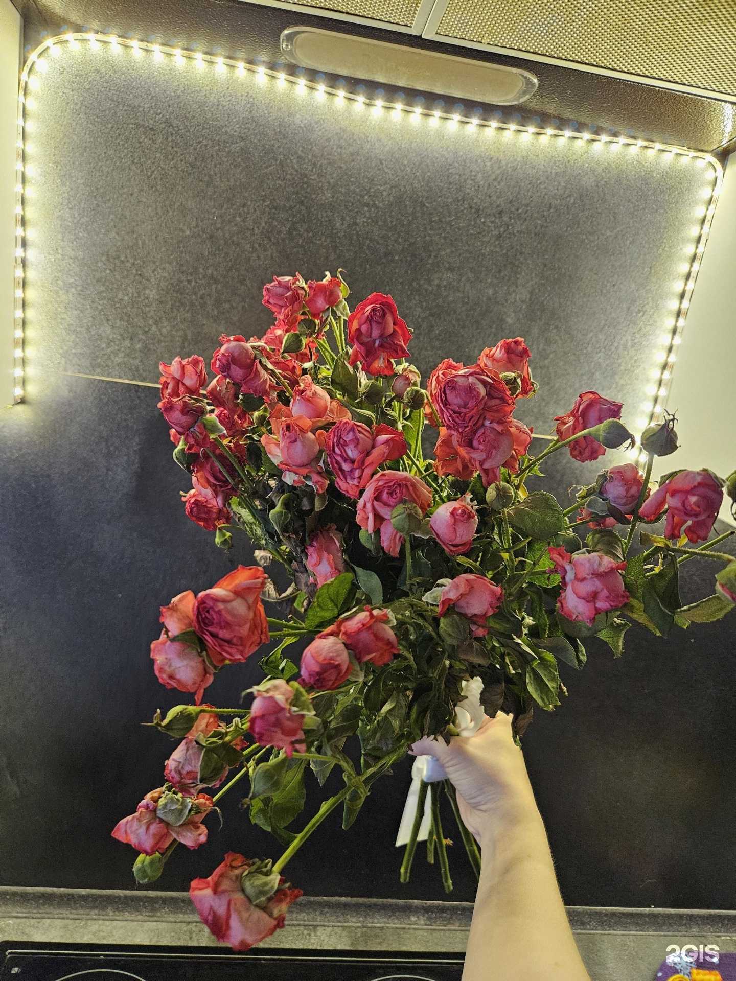 Отзывы на компанию Алый пион в Воронеже c фото