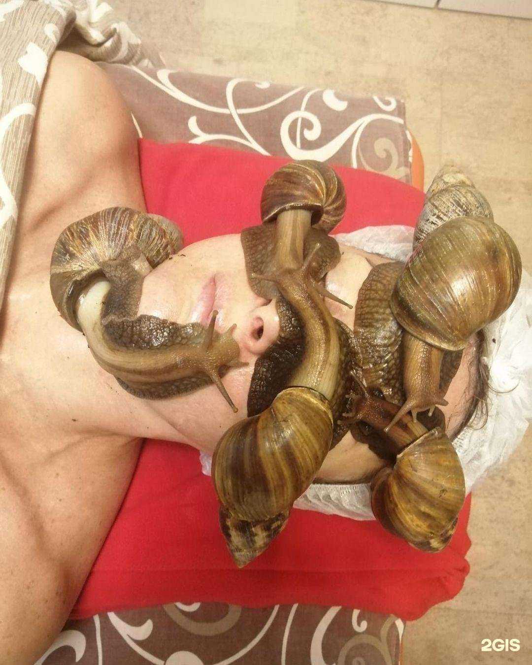 Отзывы на компанию Летучая мышь в Истре c фото