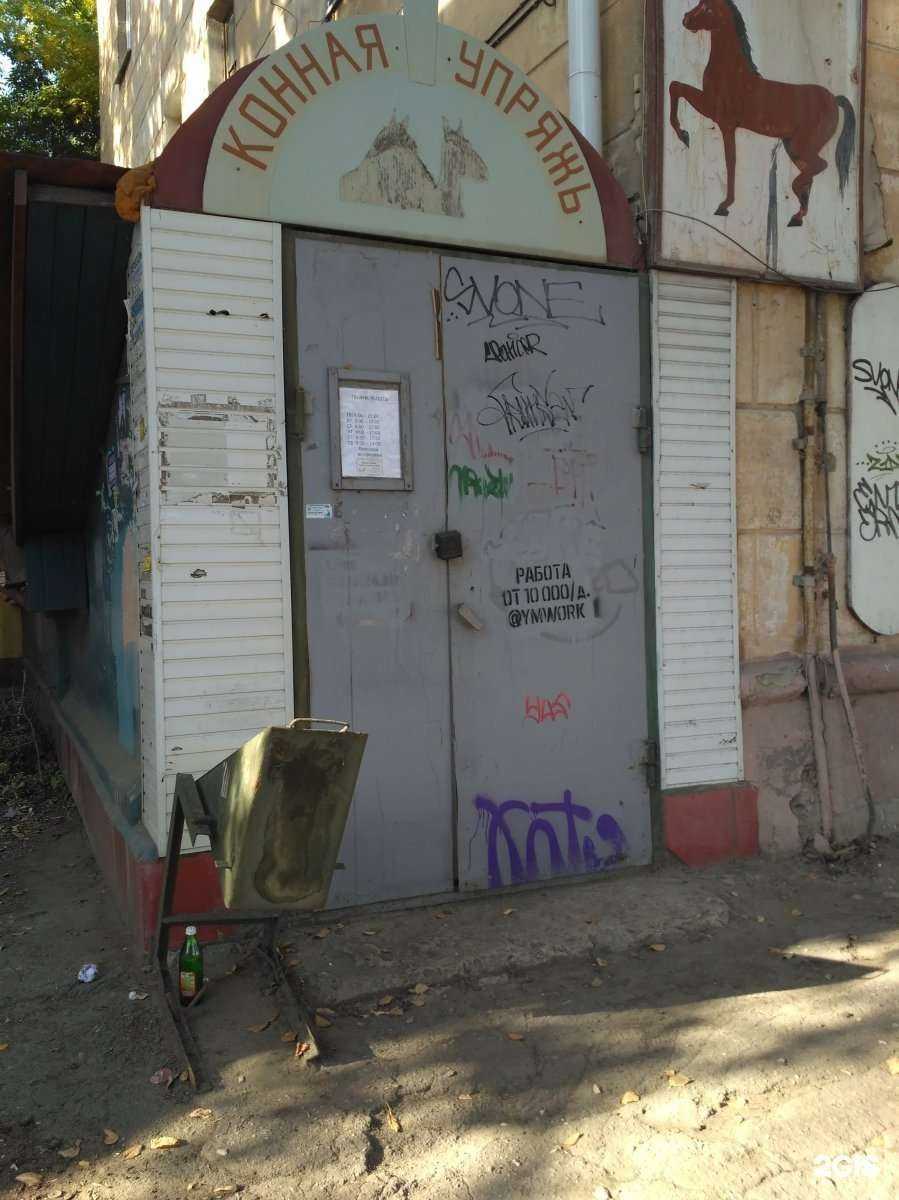 Отзывы на компанию Конная упряжь в г. Саратов c фото