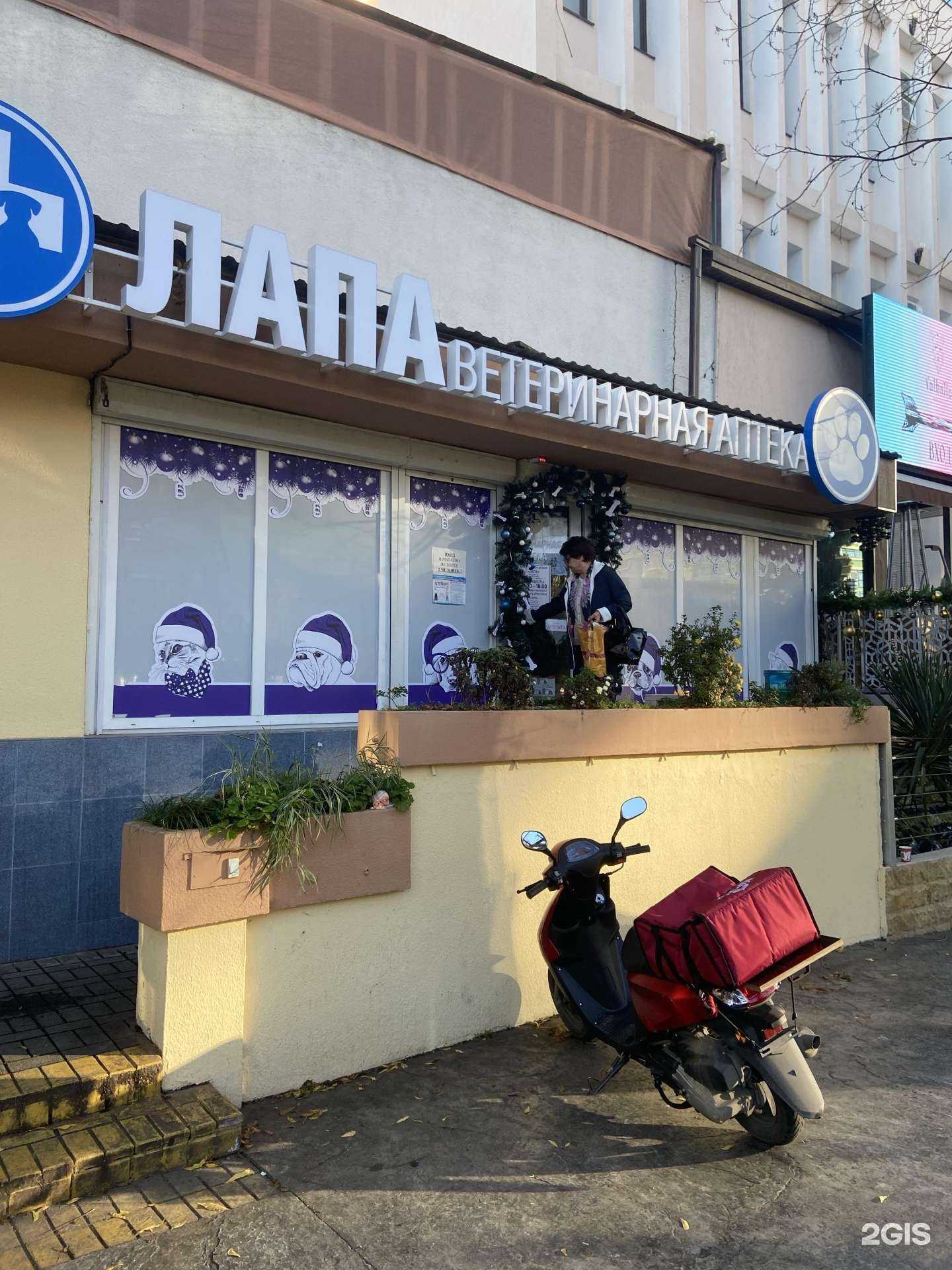 Отзывы на компанию Лапа в Сочи c фото