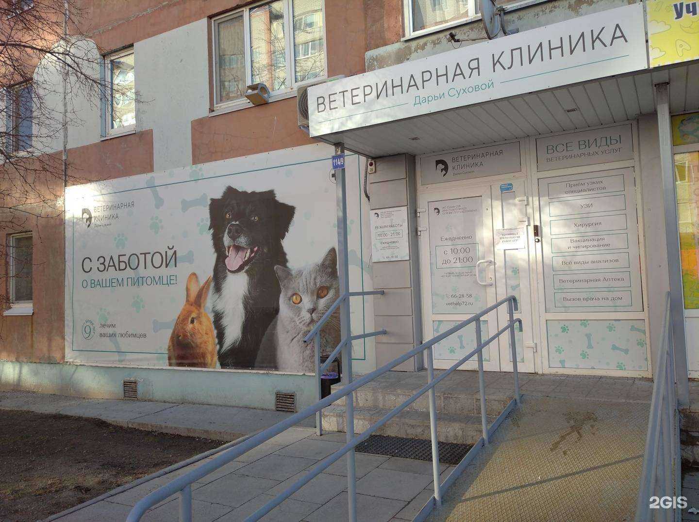 Отзывы на компанию Ветеринарная клиника Дарьи Суховой в Тюмени c фото