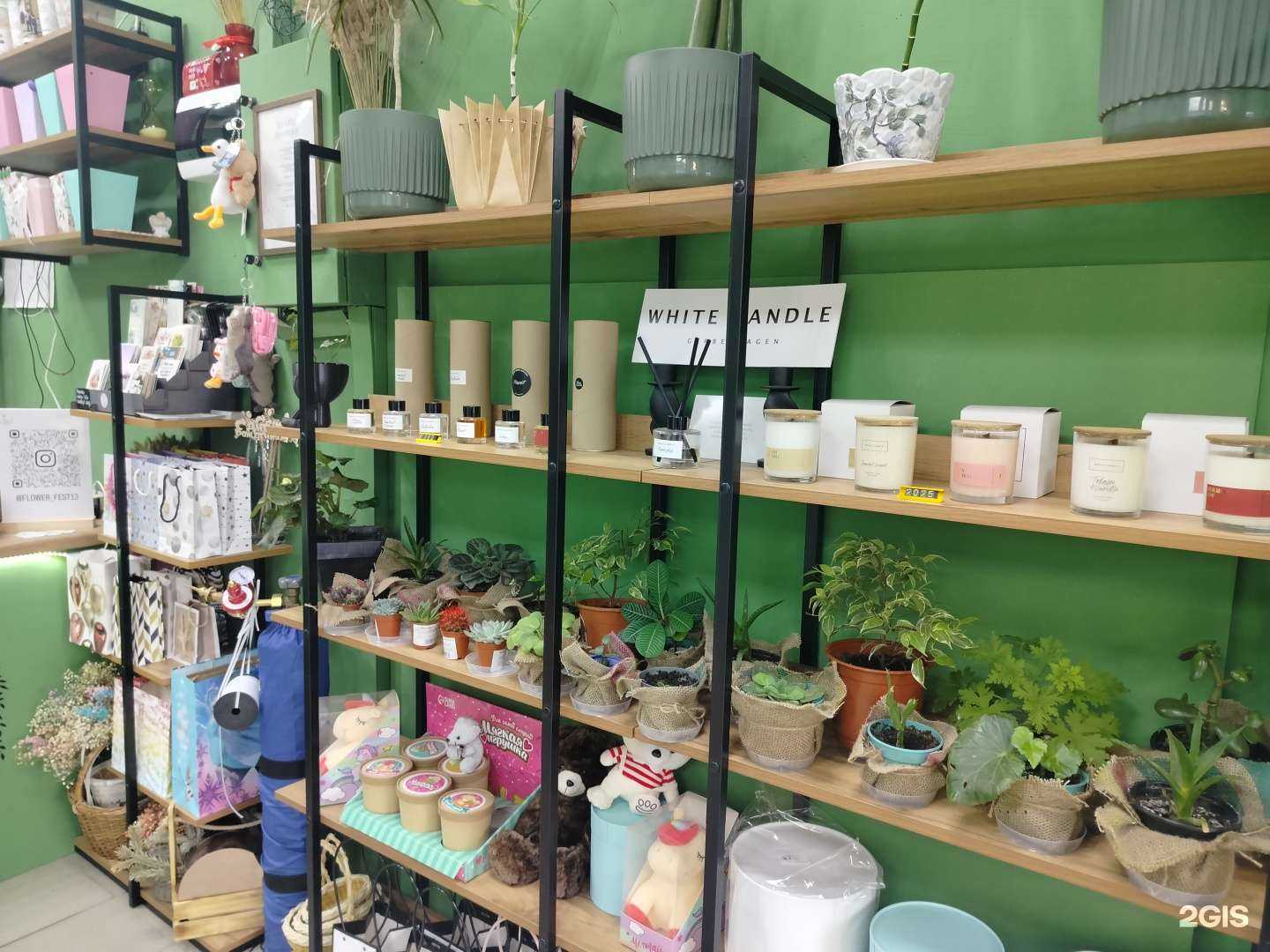 Отзывы на компанию Flower Fest в г. Лобня c фото