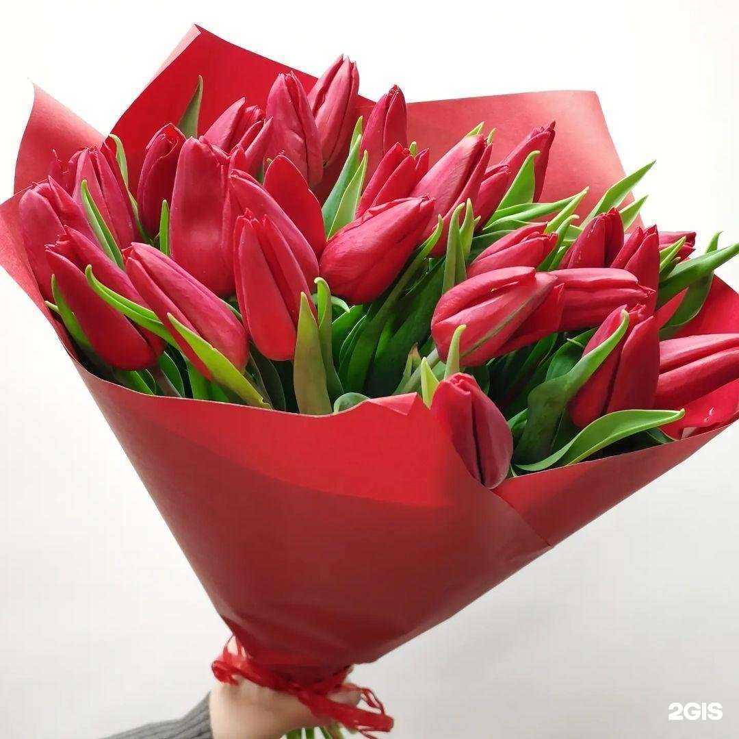 Отзывы на компанию Элит флора в Димитровграде c фото