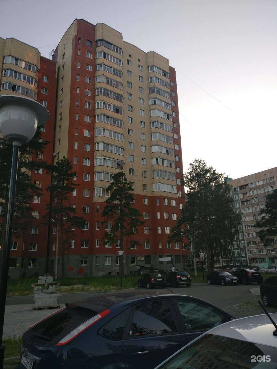 Отзывы на компанию Докавет в Сертолове c фото - фотография 2 из 2