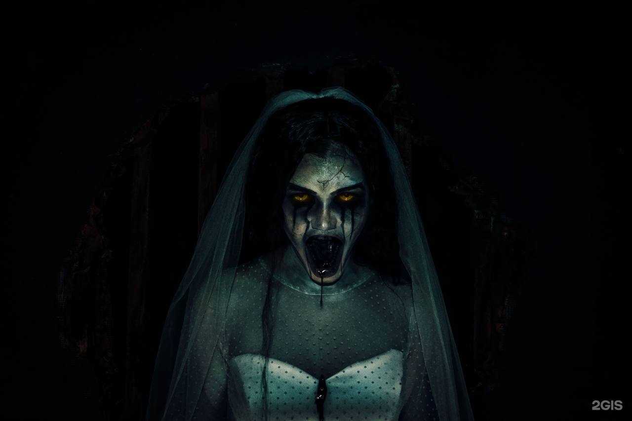 Отзывы на компанию Quest-hub в Казани c фото