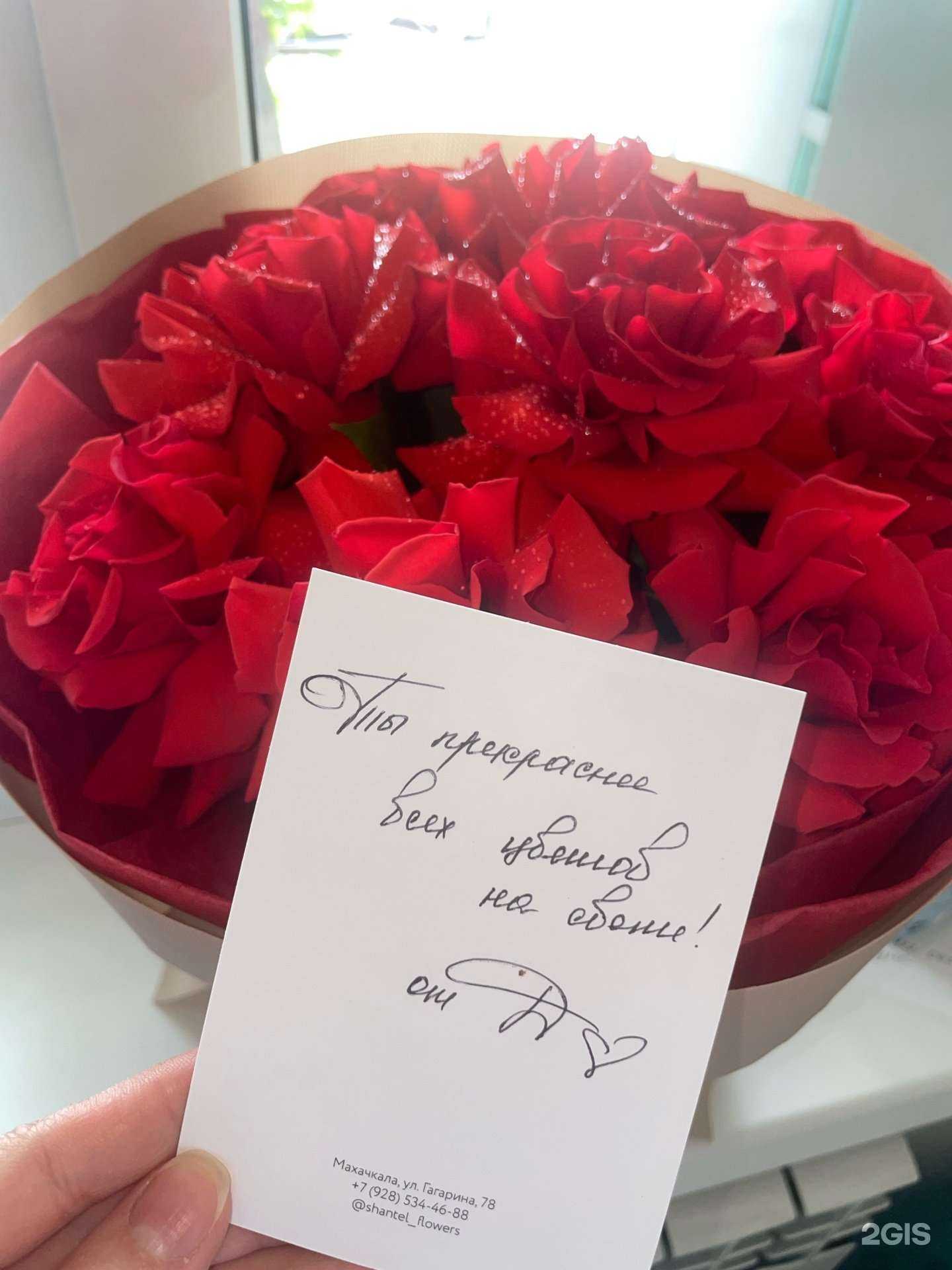 Отзывы на компанию Шантэль в г. Махачкала c фото