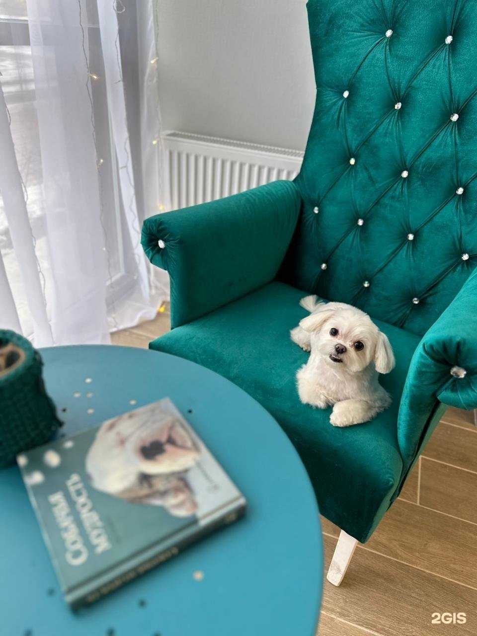 Отзывы на компанию Малина groom в Воронеже c фото