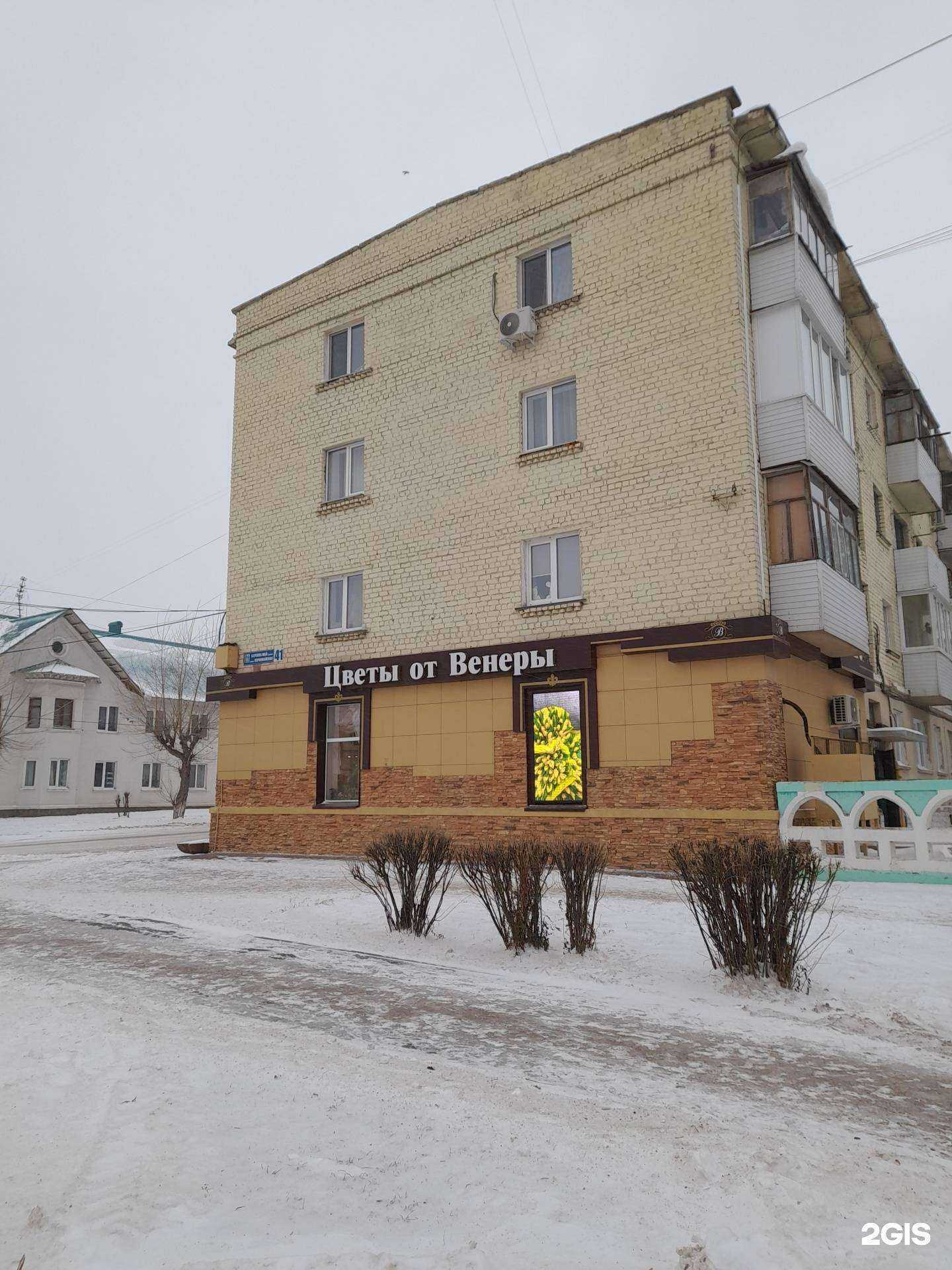 Отзывы на компанию Цветы от Венеры в Салавате c фото - фотография 2 из 2