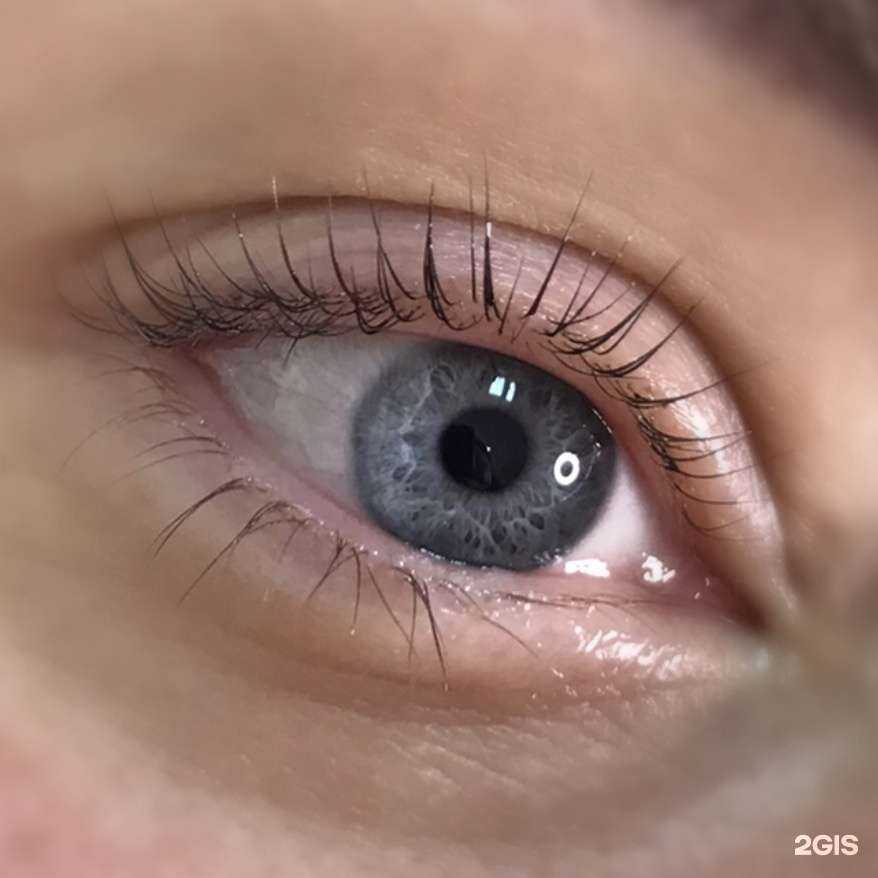 Отзывы на компанию Brovisti в Екатеринбурге c фото