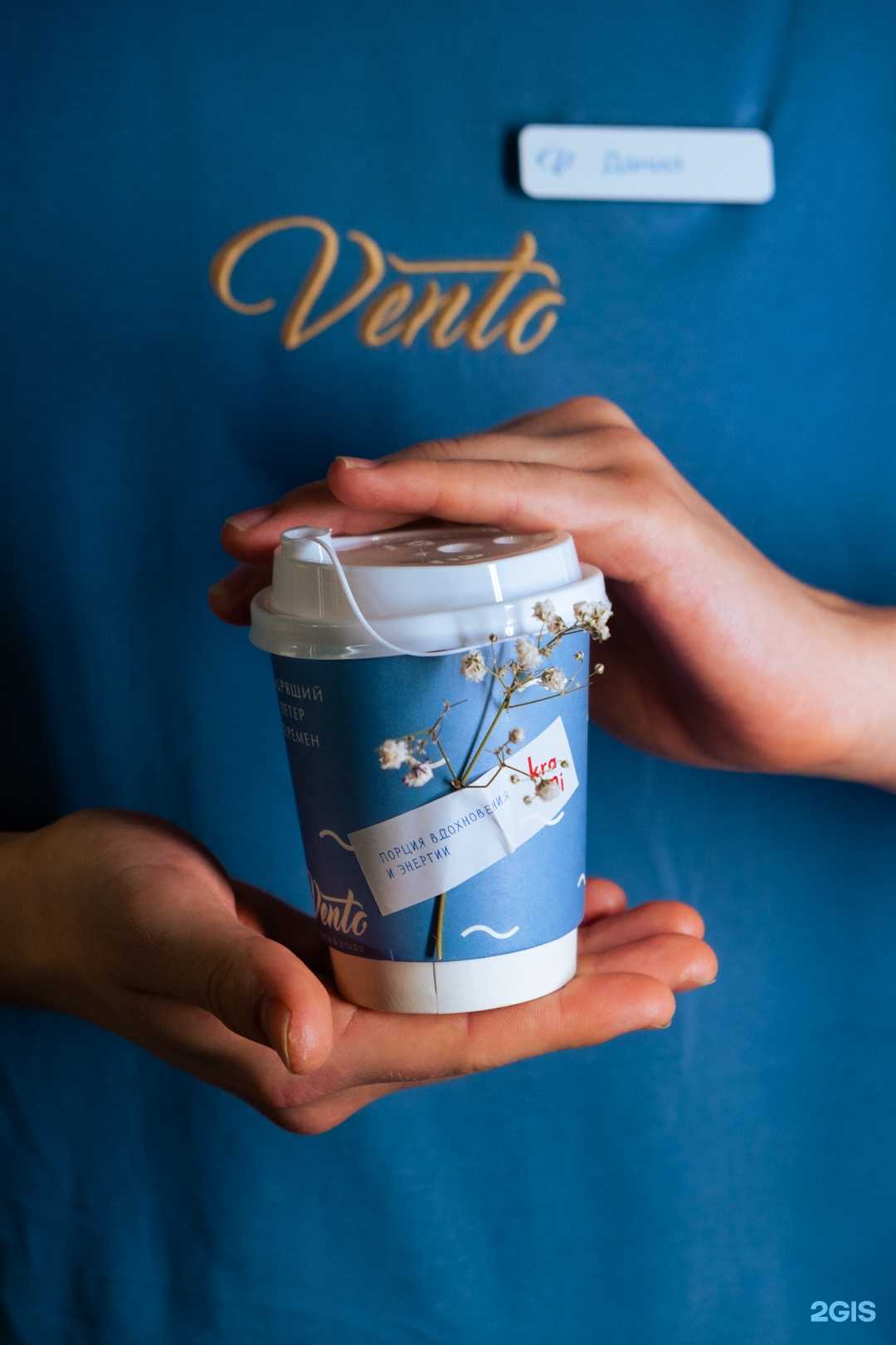 Отзывы на компанию Vento. Osteria&Crudo в Владивостоке c фото