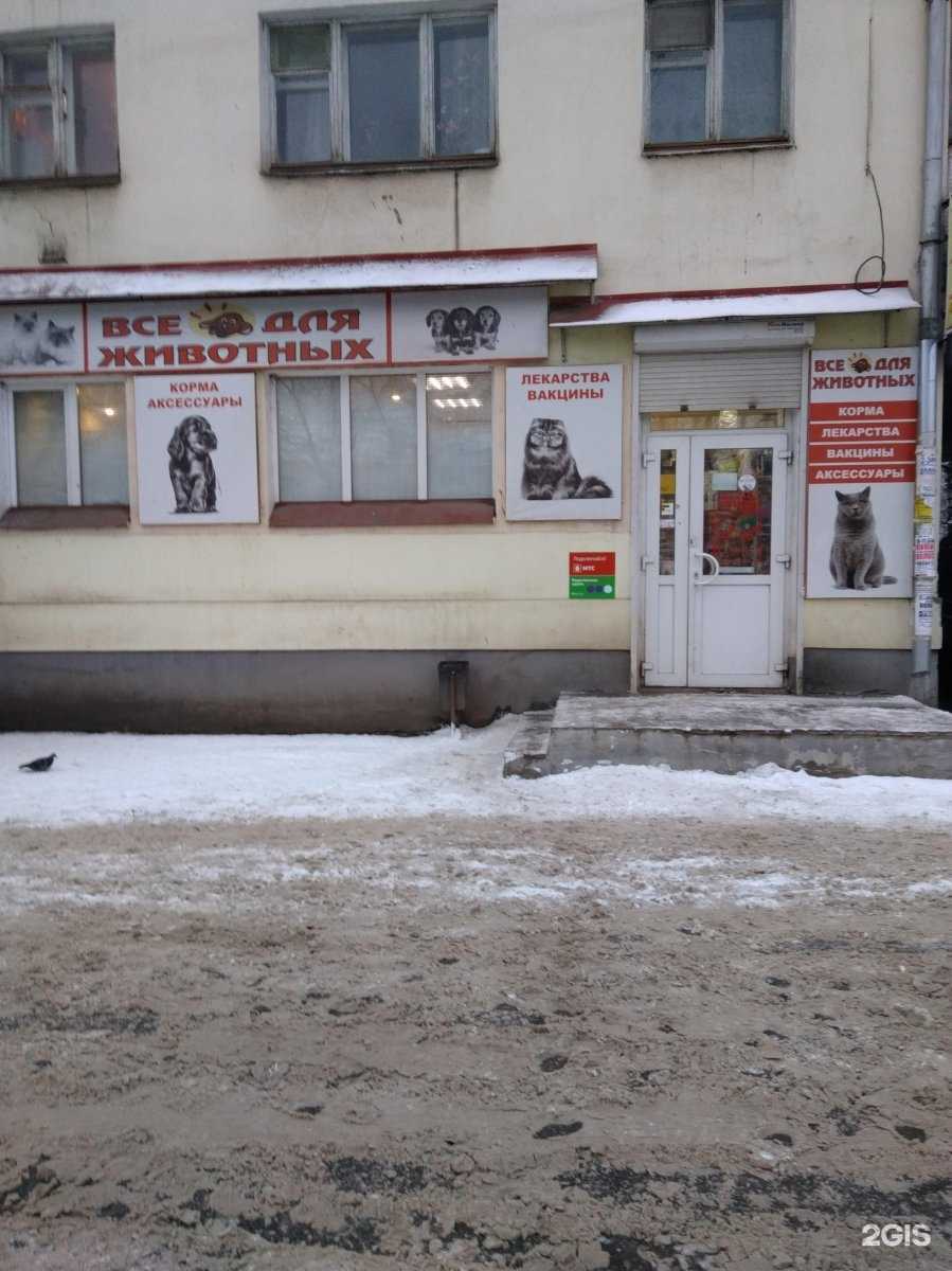 Отзывы на компанию Зоомагазин в г. Иваново c фото