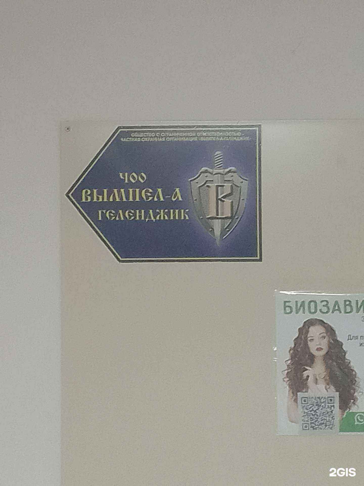 Отзывы на компанию Вымпел-А-Геленджик в Геленджике c фото