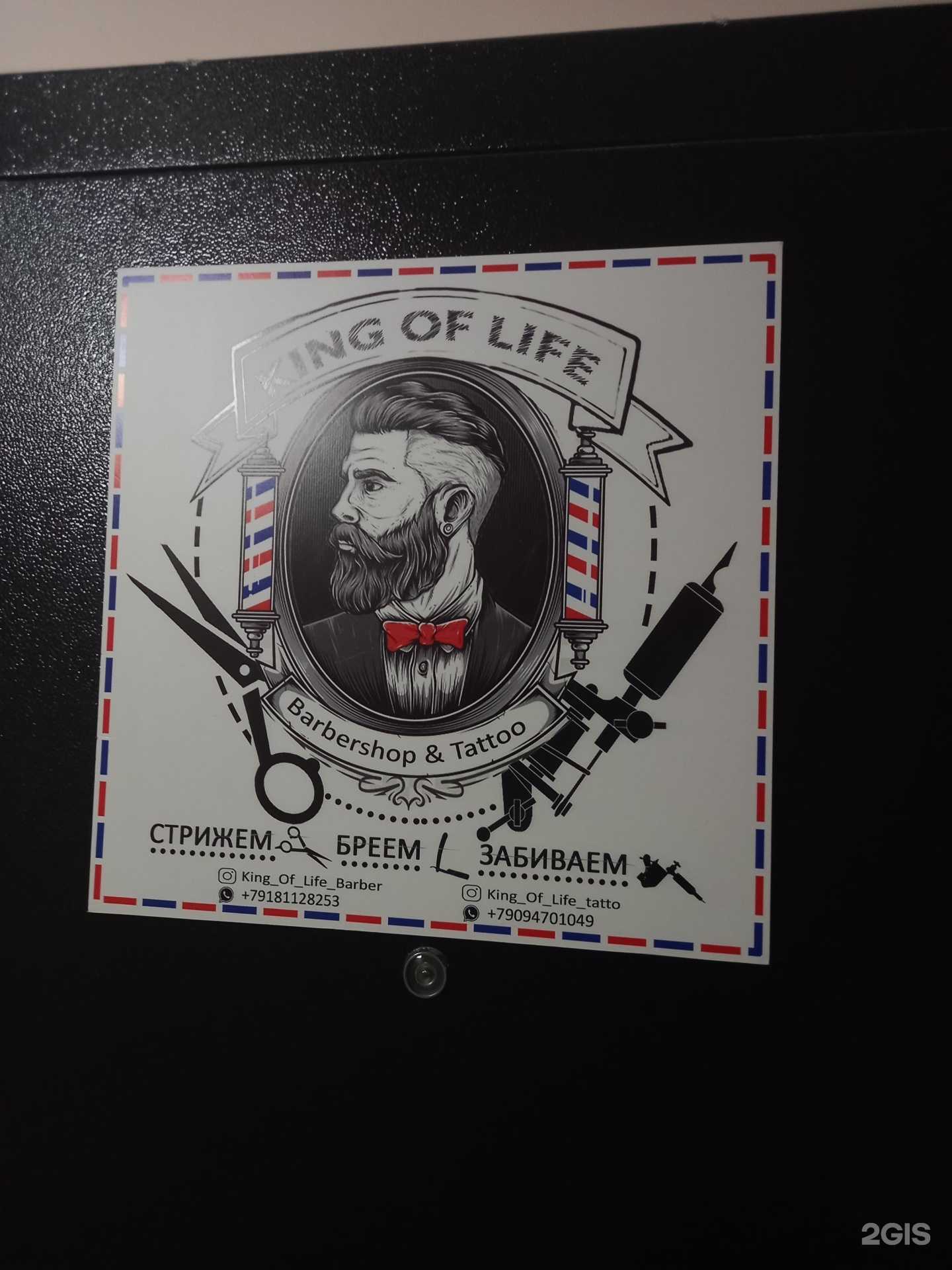 Отзывы на компанию King of life в Краснодаре c фото