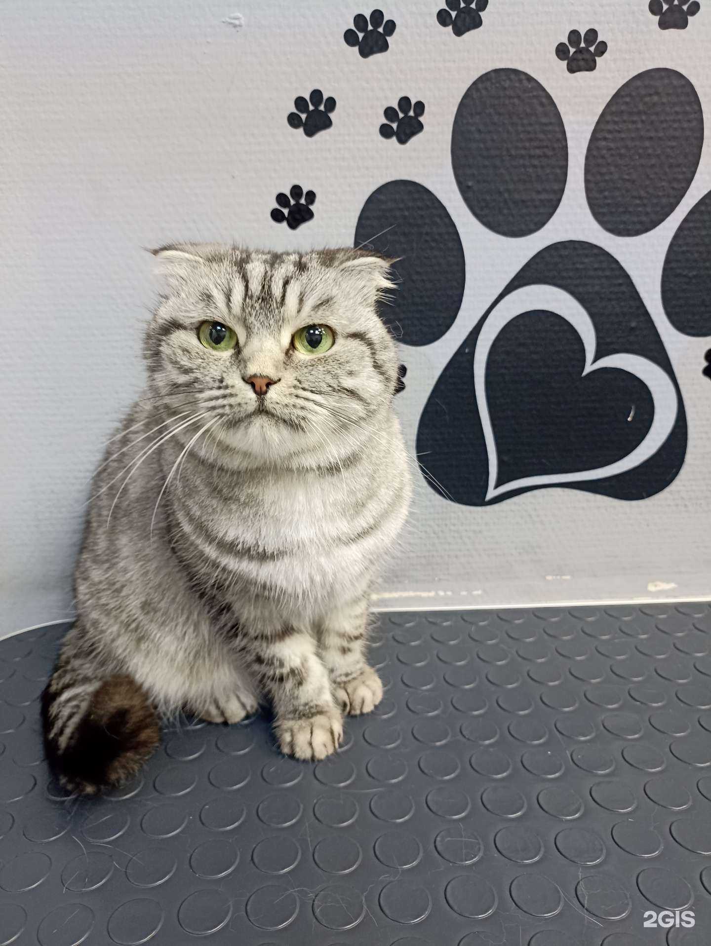 Отзывы на компанию МойБарбос в г. Пермь c фото