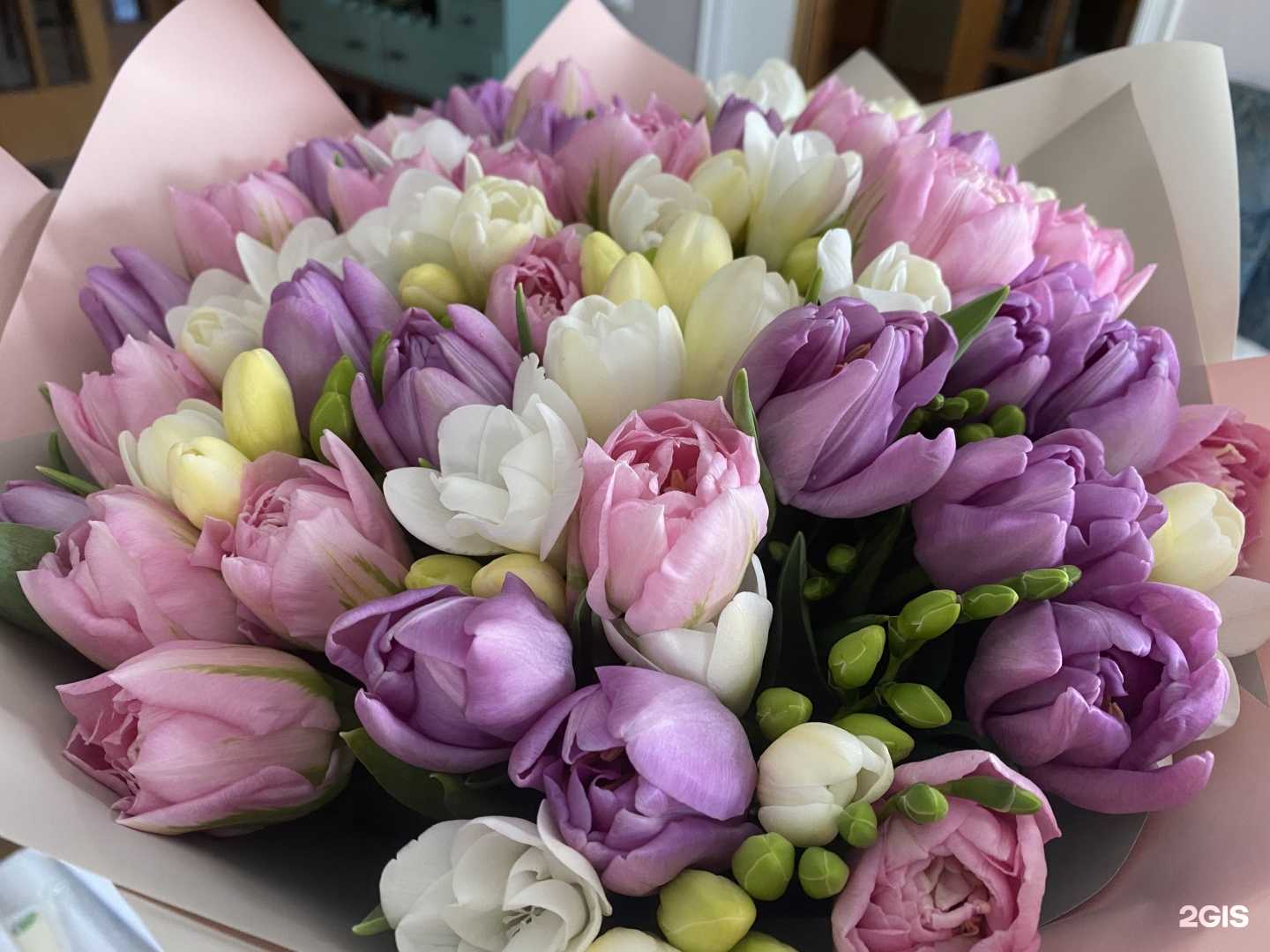 Отзывы на компанию Нескучный сад в Новороссийске c фото