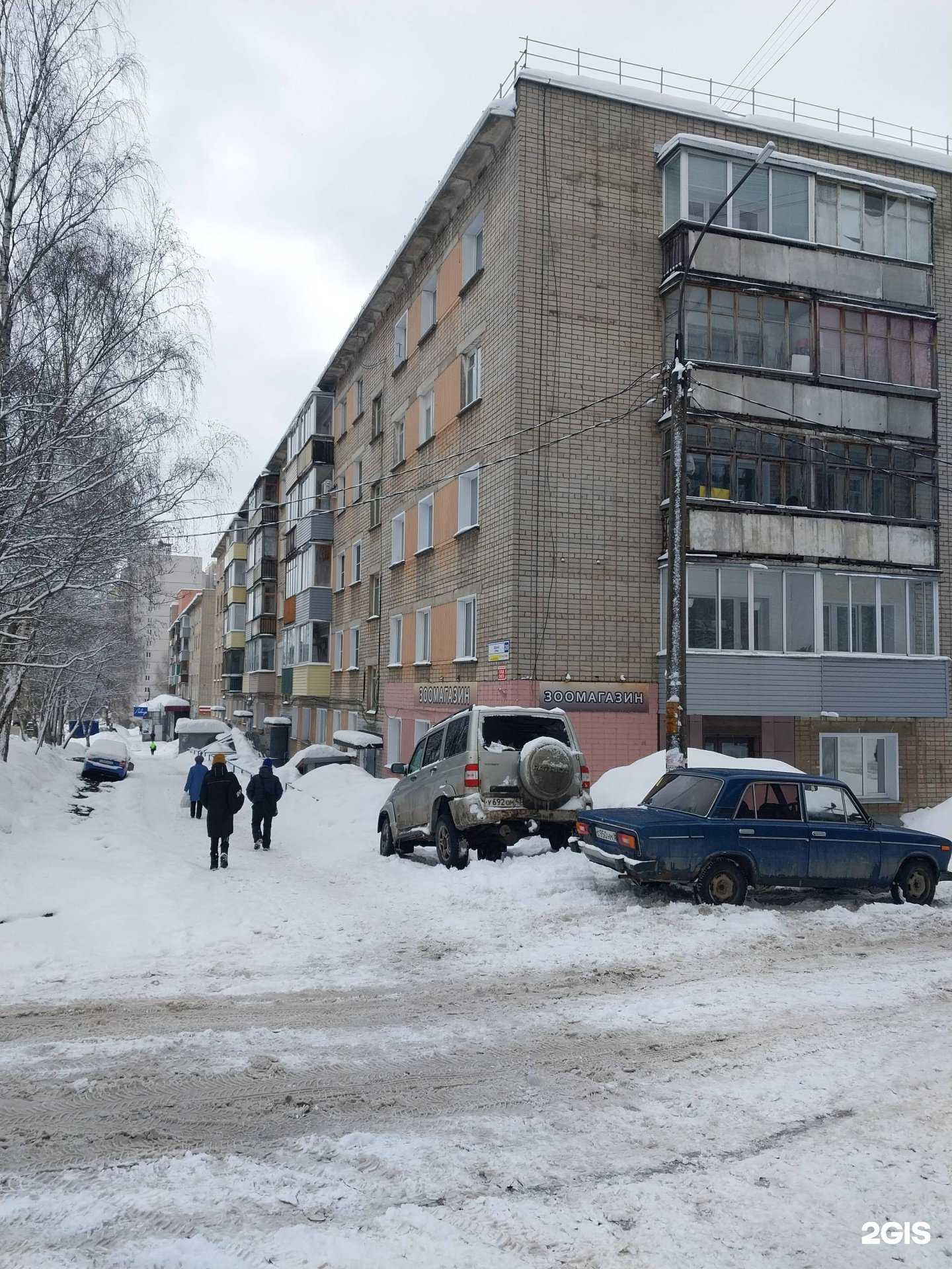 Отзывы на компанию Зоолавка в Кирове c фото - фотография 2 из 2