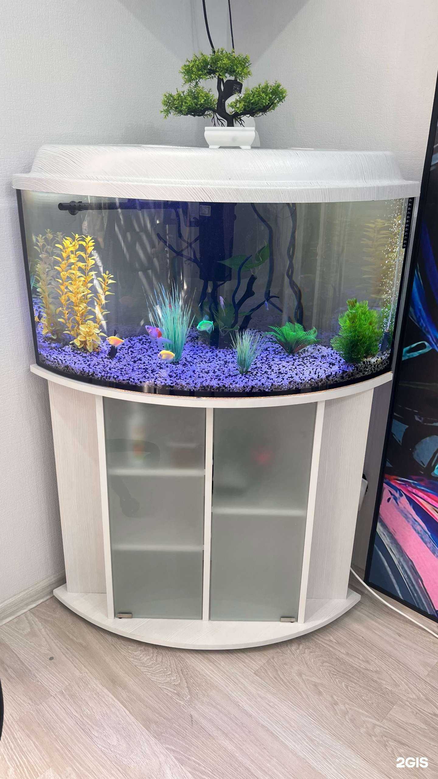 Отзывы на компанию BeGydi в Ростове-на-Дону c фото