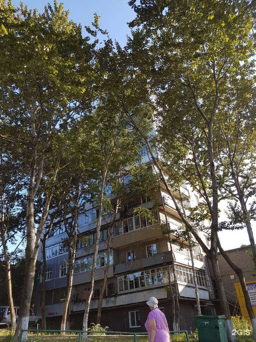 Отзывы на компанию Страховой агент в Владивостоке c фото - фотография 2 из 2