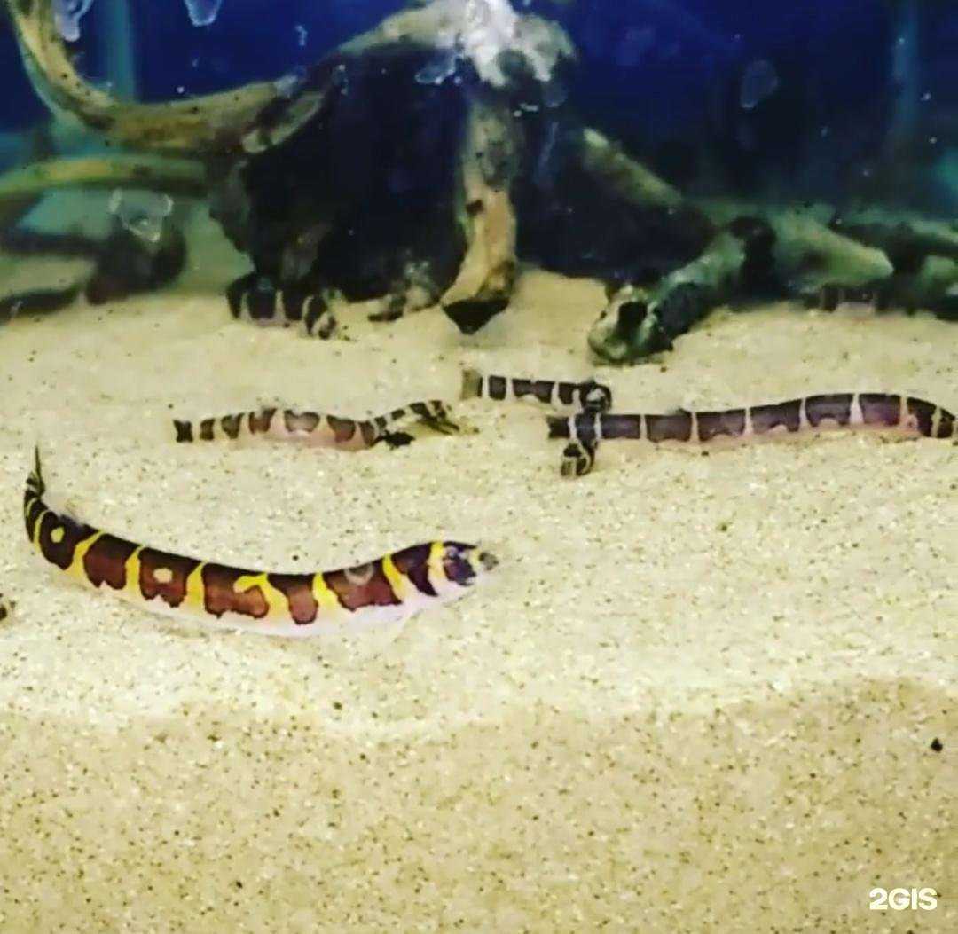 Отзывы на компанию Аквамания в Уссурийске c фото