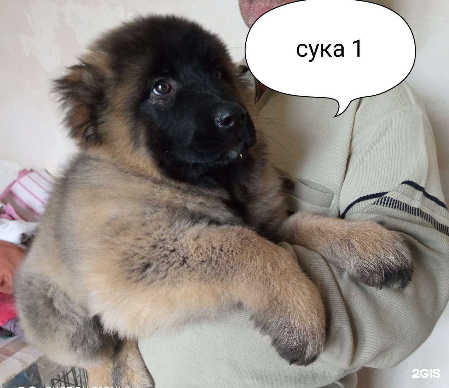 Отзывы на компанию Фаворит в г. Астрахань c фото