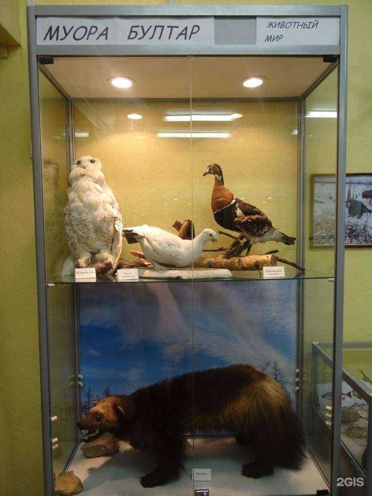 Отзывы на компанию Лицей №3 в Норильске c фото