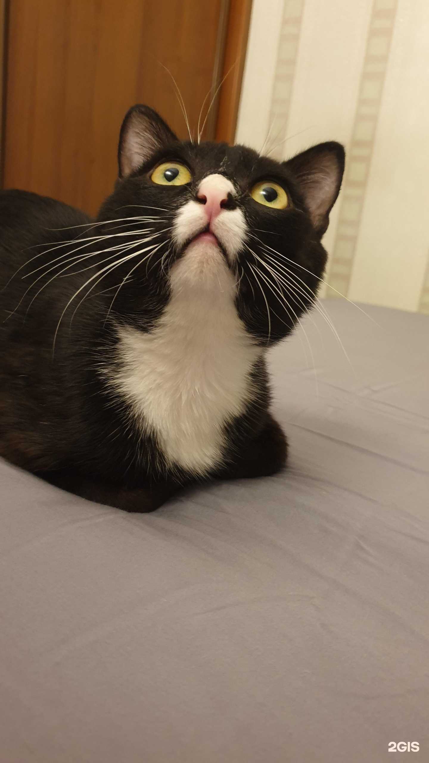 Отзывы на компанию Здоровячок в Омске c фото