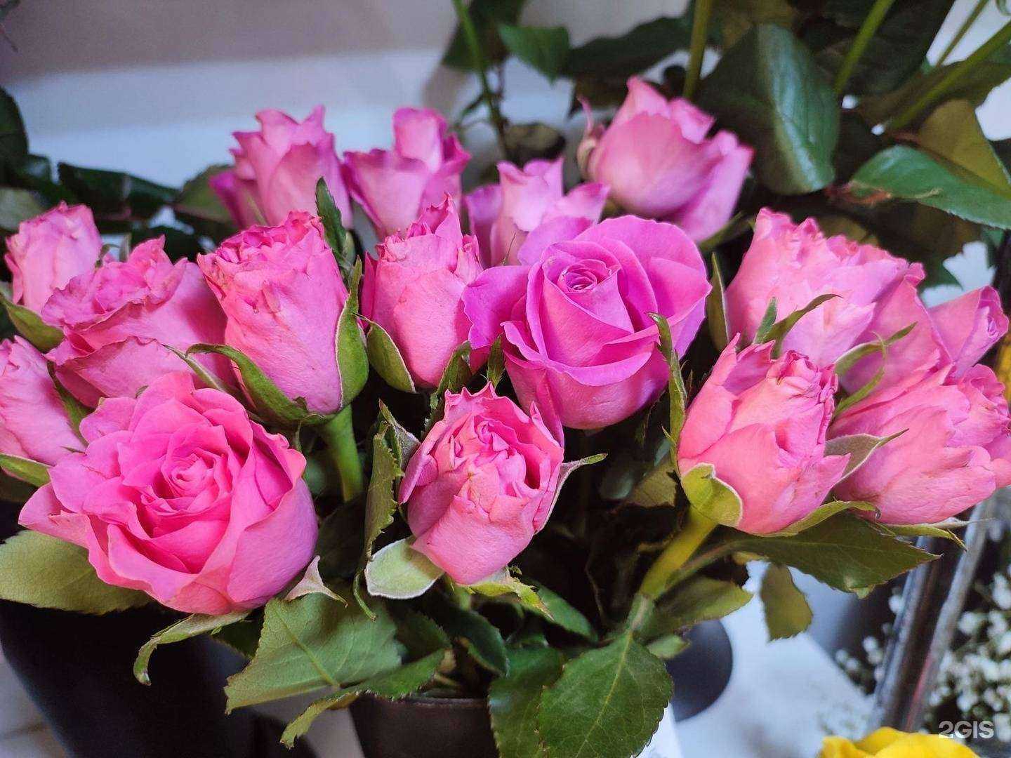 Отзывы на компанию Цветы для Вас в Нижнем Новгороде c фото