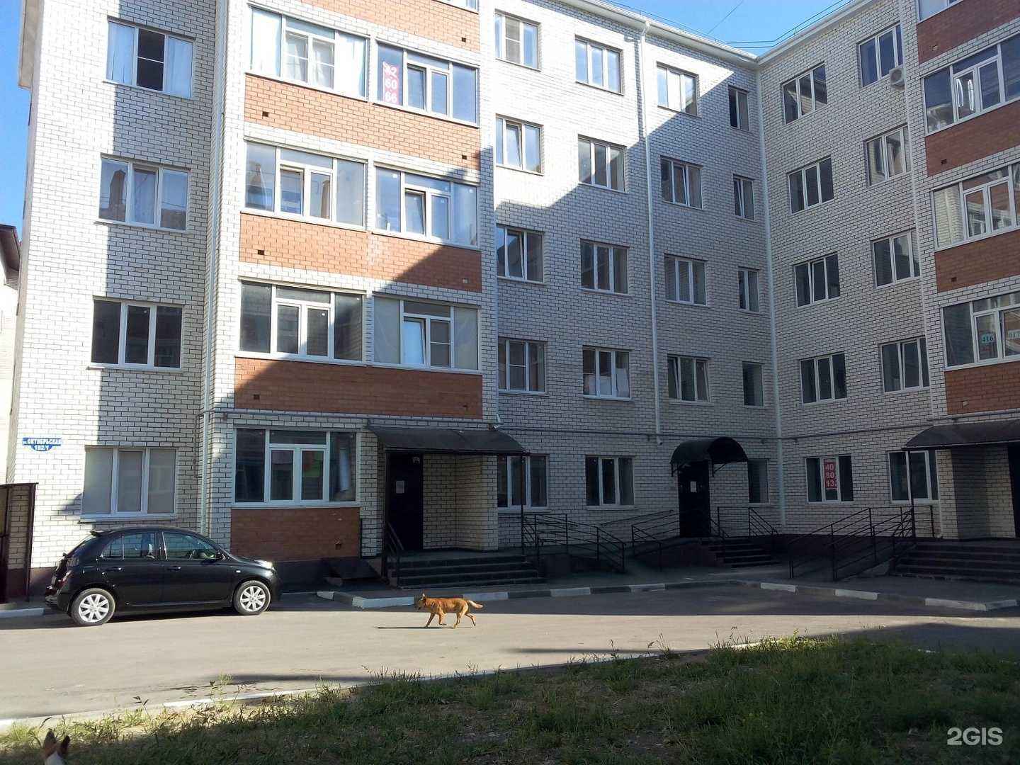 Отзывы на компанию Элефант в Ставрополе c фото - фотография 2 из 2