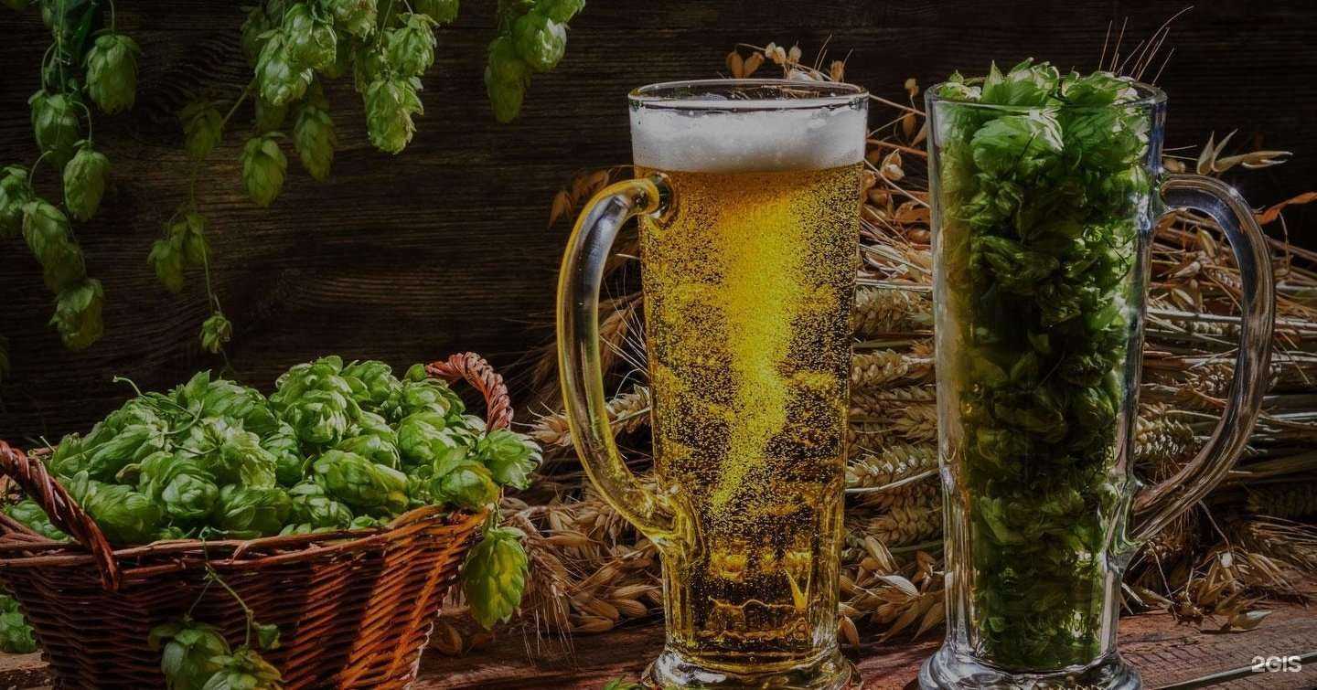 Отзывы на компанию СамараМалт в г. Самара c фото