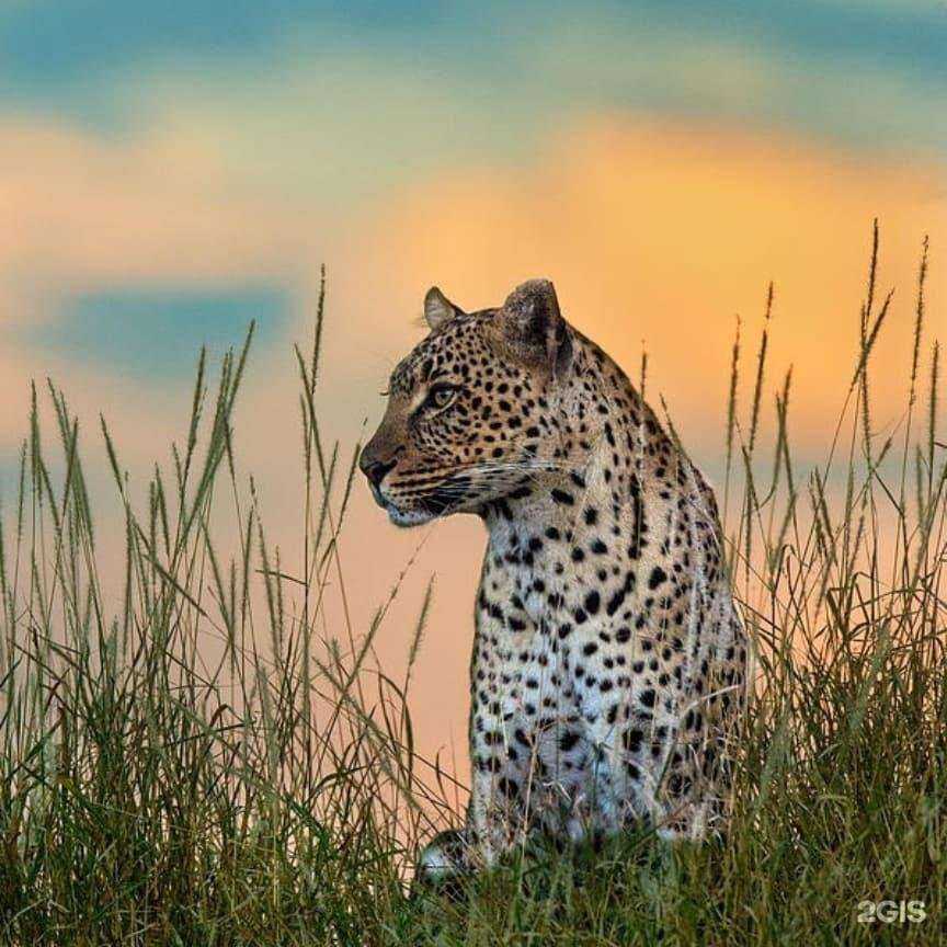 Отзывы на компанию Нова в г. Нефтекамск c фото