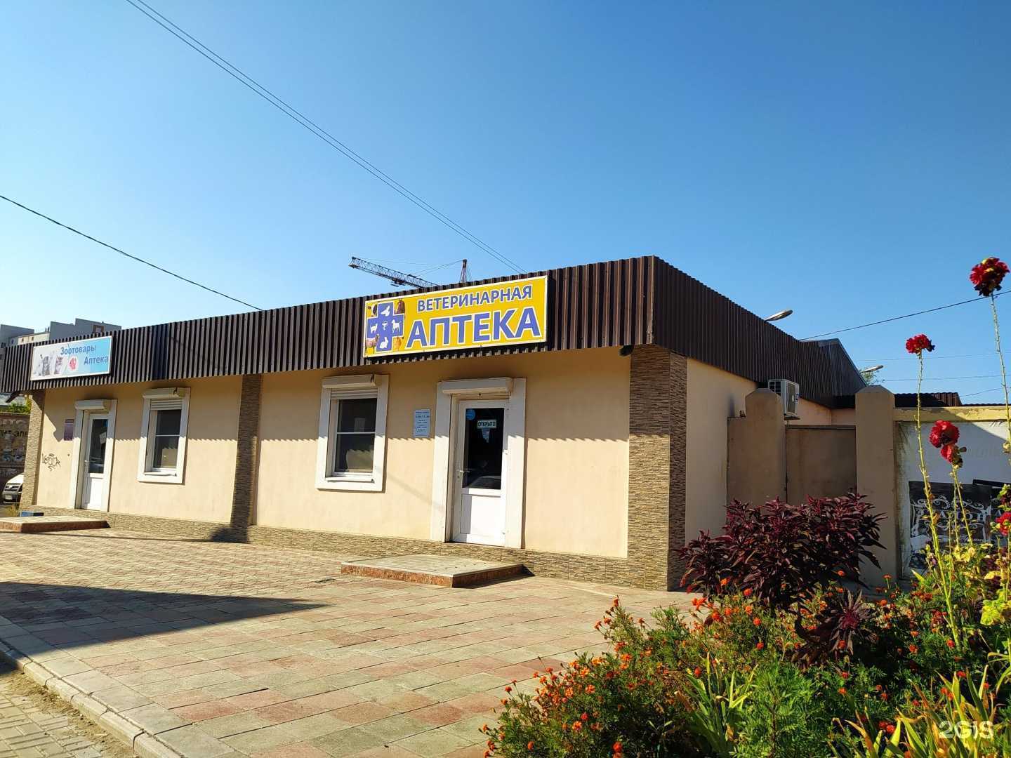 Отзывы на компанию Экоцветы в Астрахани c фото - фотография 2 из 2