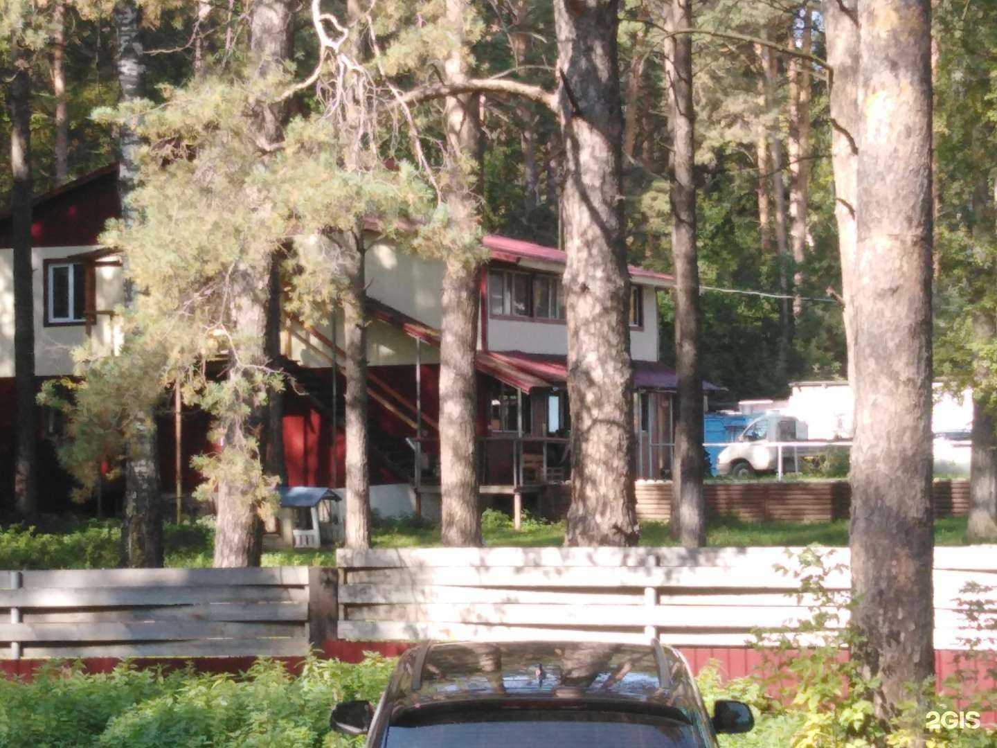 Отзывы на компанию Сосновый бор в Новосибирске c фото - фотография 2 из 2