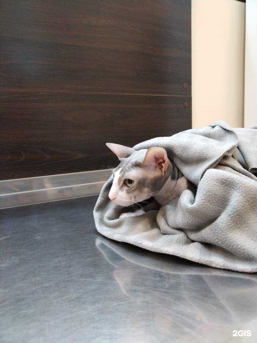 Отзывы на компанию Анима в Омске c фото