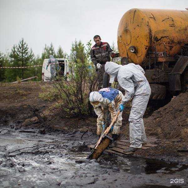 Отзывы на компанию Илосос36 в Воронеже c фото