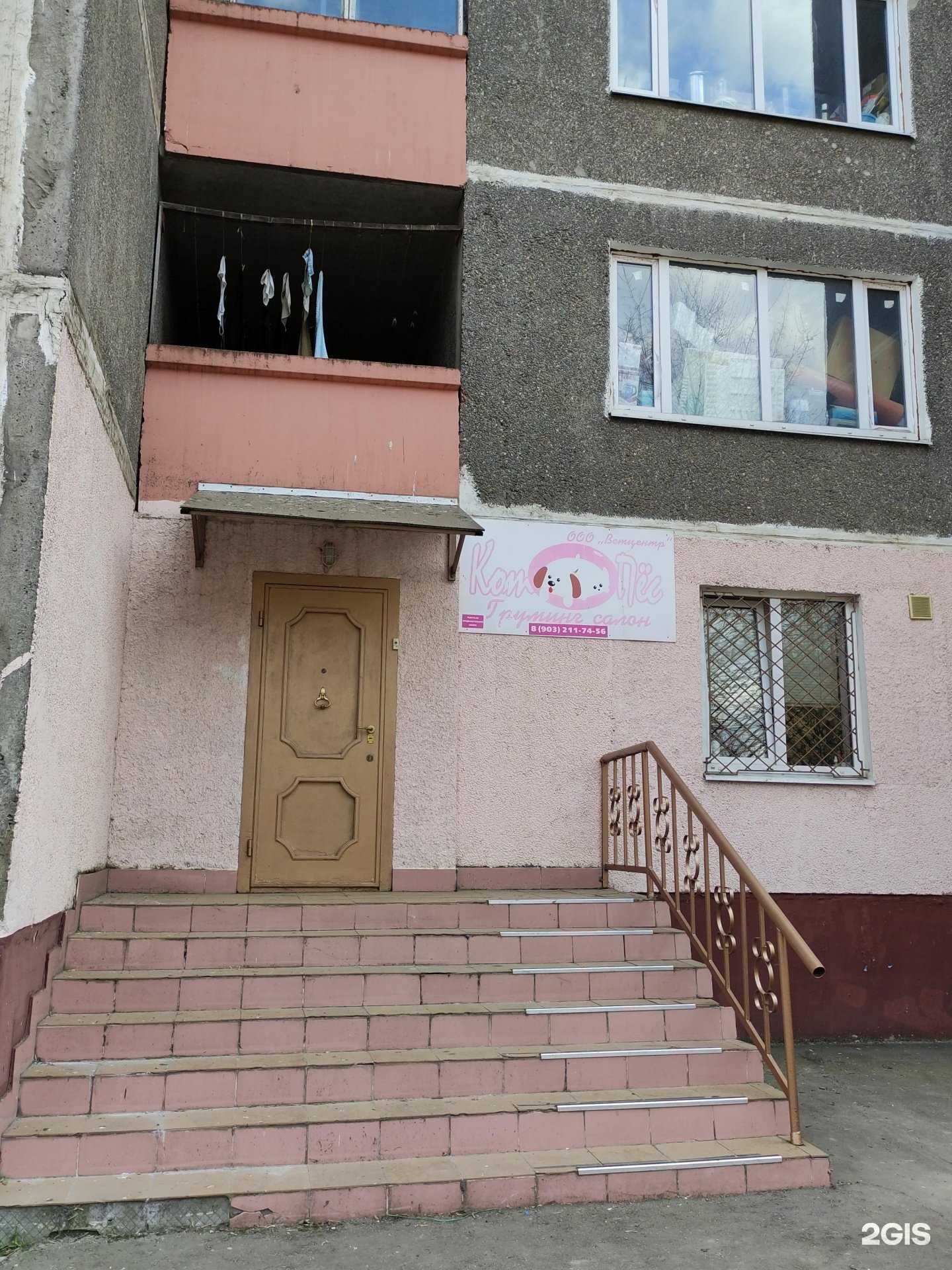 Отзывы на компанию Котопëс в Ногинске c фото