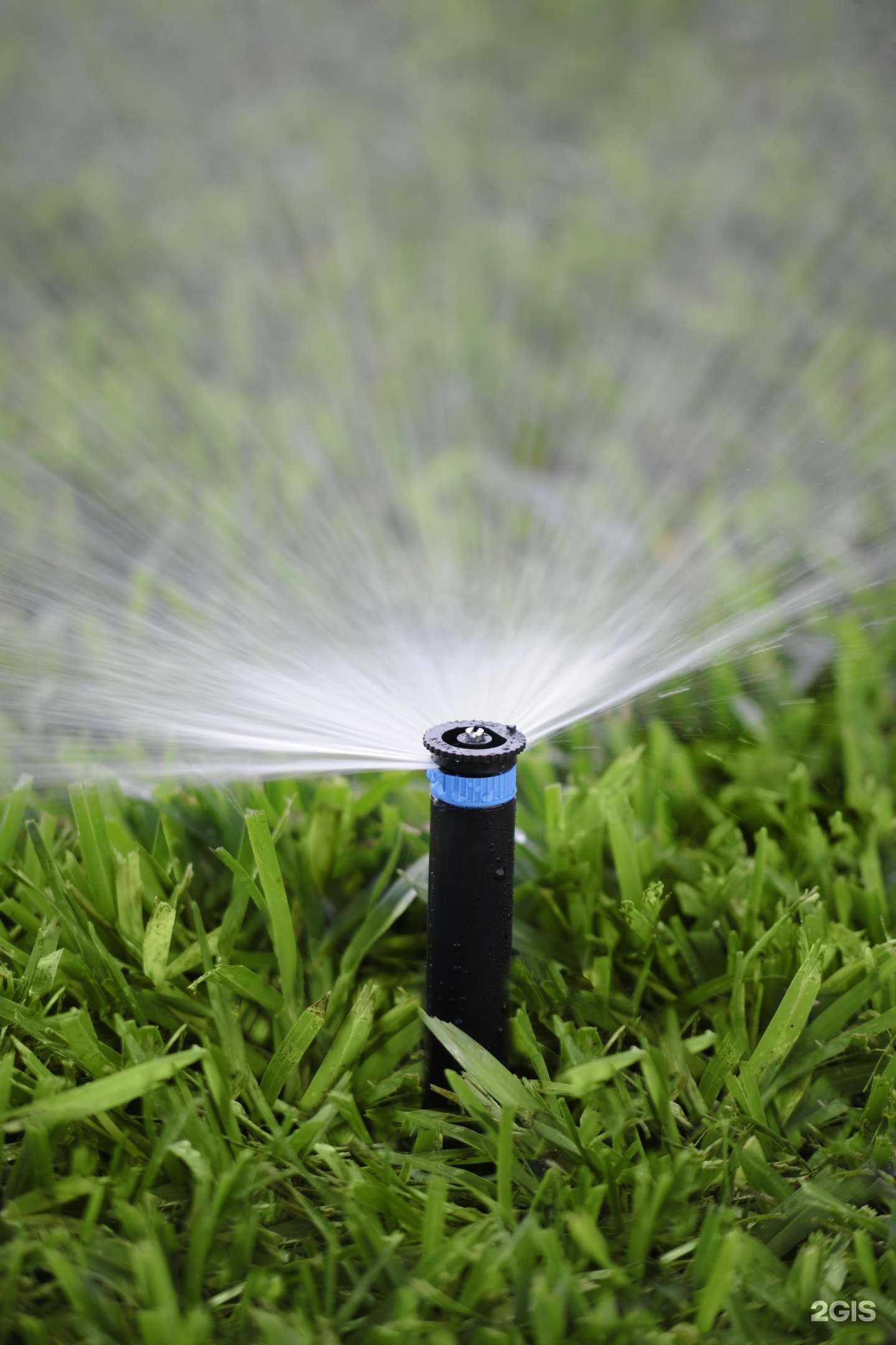 Отзывы на компанию Сад сервис в г. Новосибирск c фото