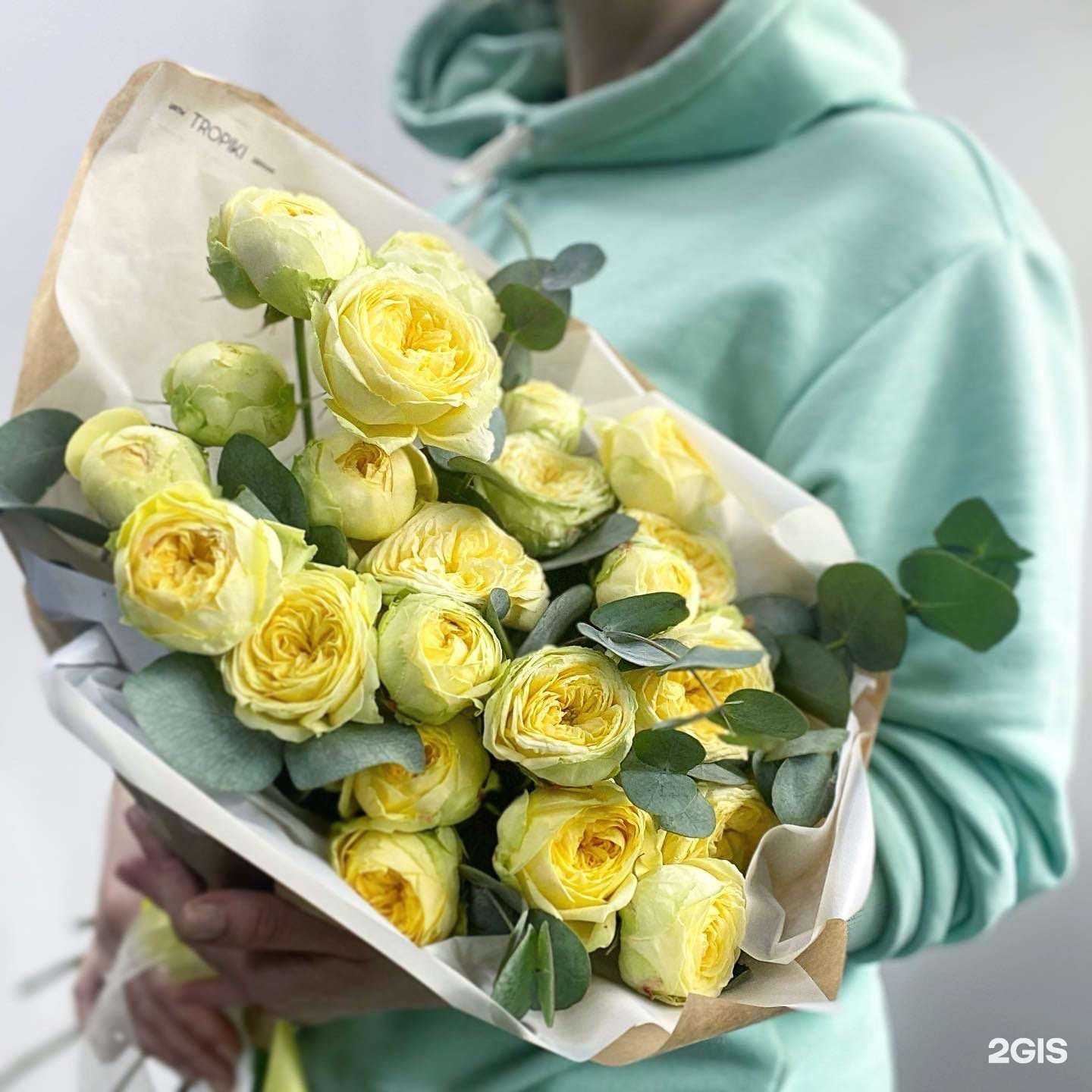 Отзывы на компанию Тропики в Новосибирске c фото