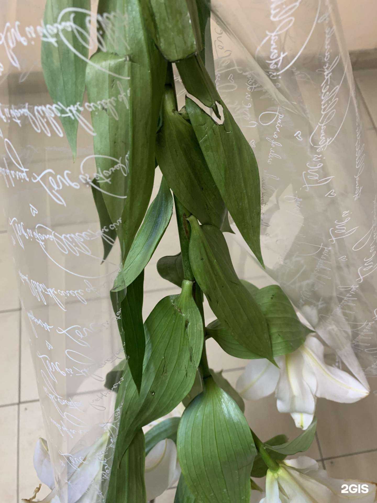 Отзывы на компанию Живые цветы в Саратове c фото