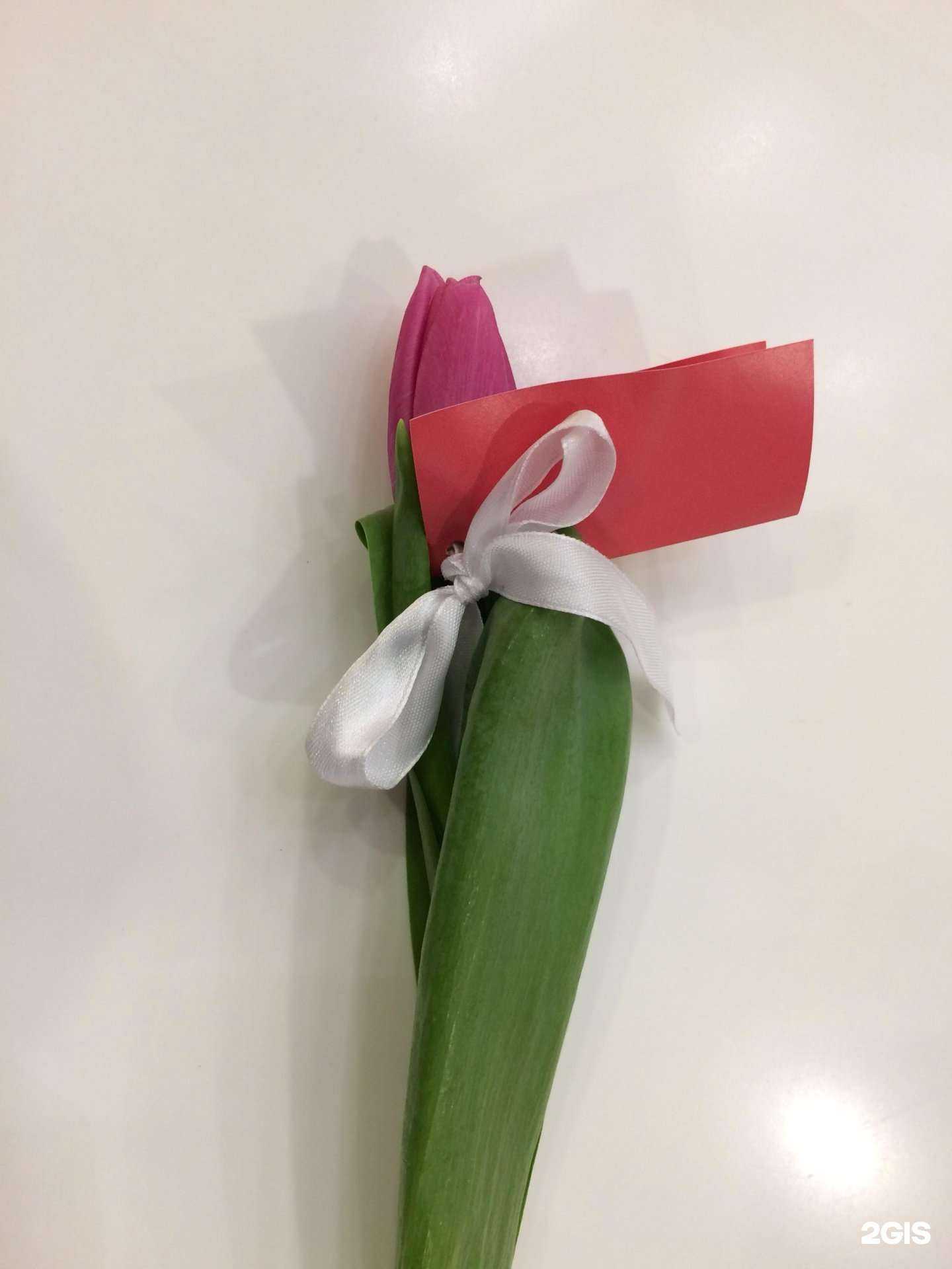 Отзывы на компанию Самокат в Новосибирске c фото