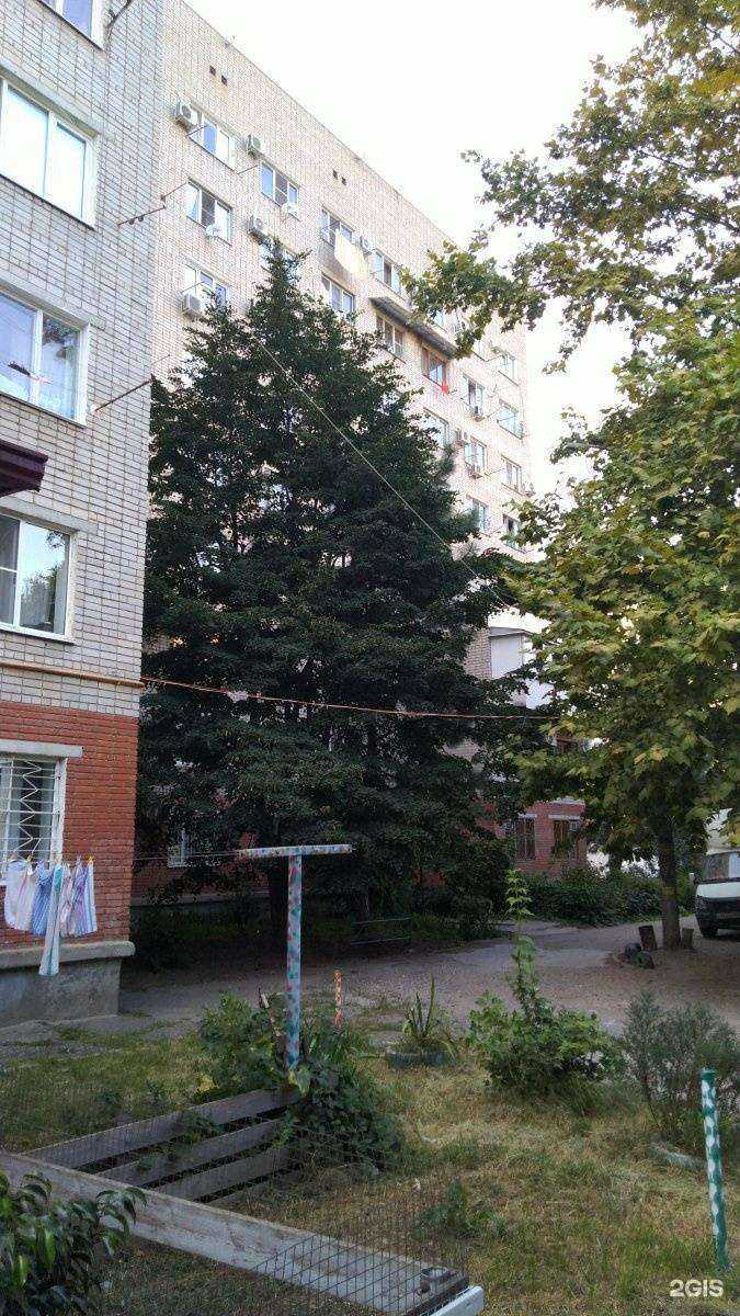 Отзывы на компанию Гемотест в Краснодаре c фото - фотография 2 из 2