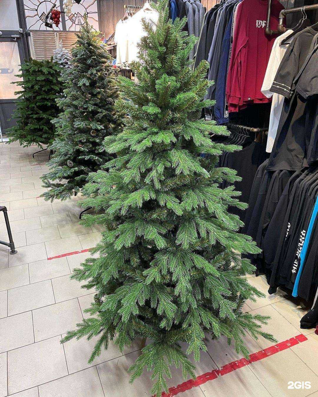 Отзывы на компанию Арена в г. Миллерово c фото