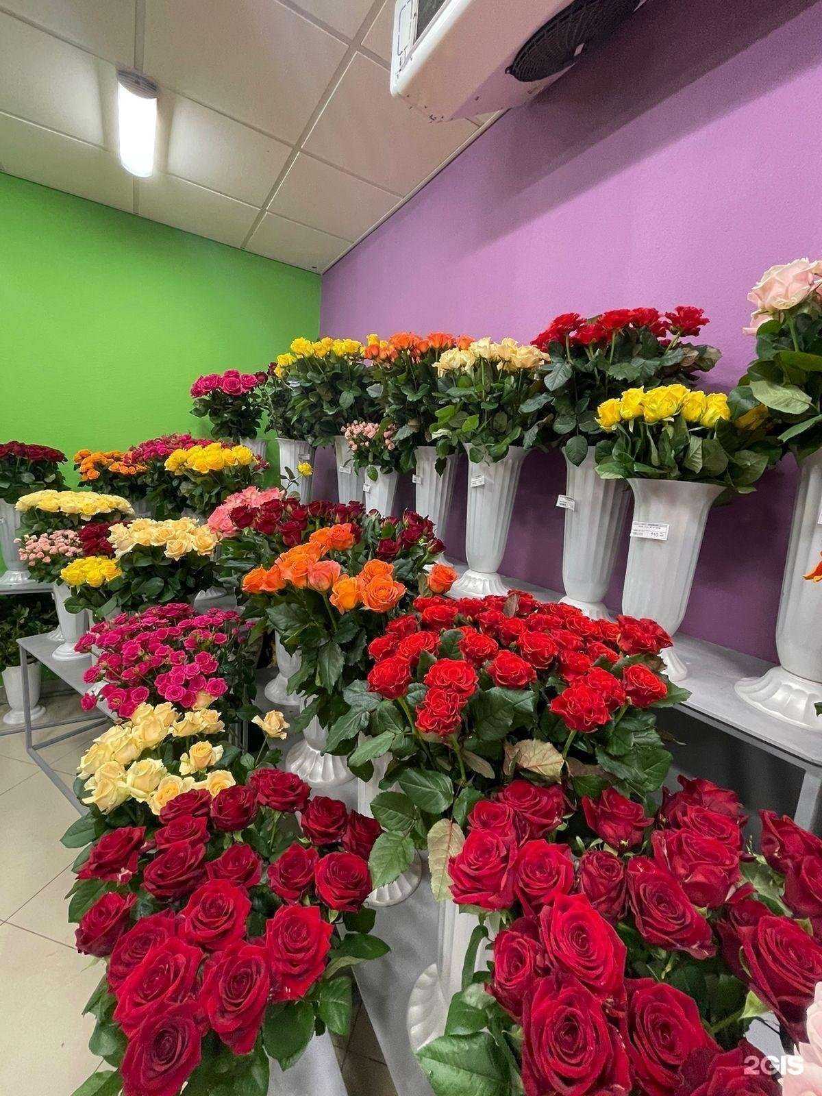 Отзывы на компанию Цветочный склад в г. Краснодар c фото